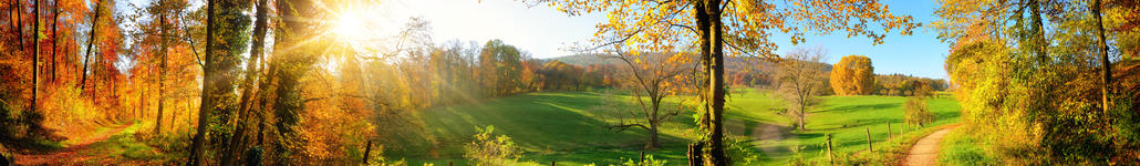 Zauberhafte Landschaft im Herbst: sonniges Panoram