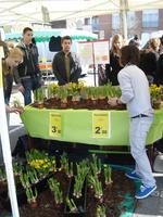 Sur le marché