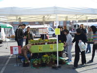 Sur le marché