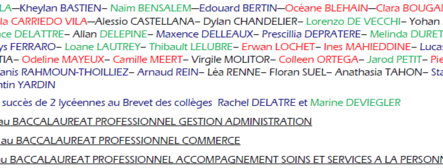 Brevet des Colleges