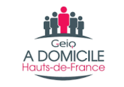 logo geiq